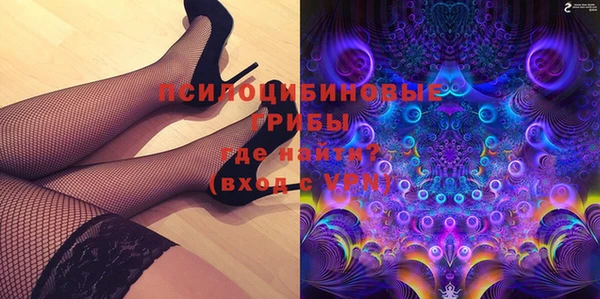 spice Арсеньев