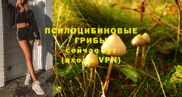 гидра Армянск