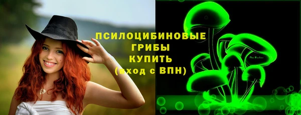 гидра Армянск