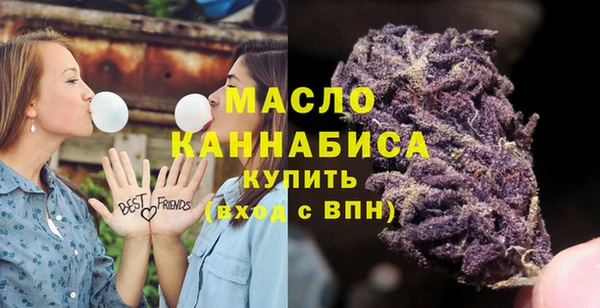 гидра Армянск
