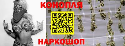 ешки Боровичи
