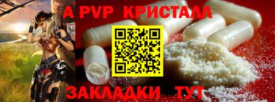 ешки Боровичи
