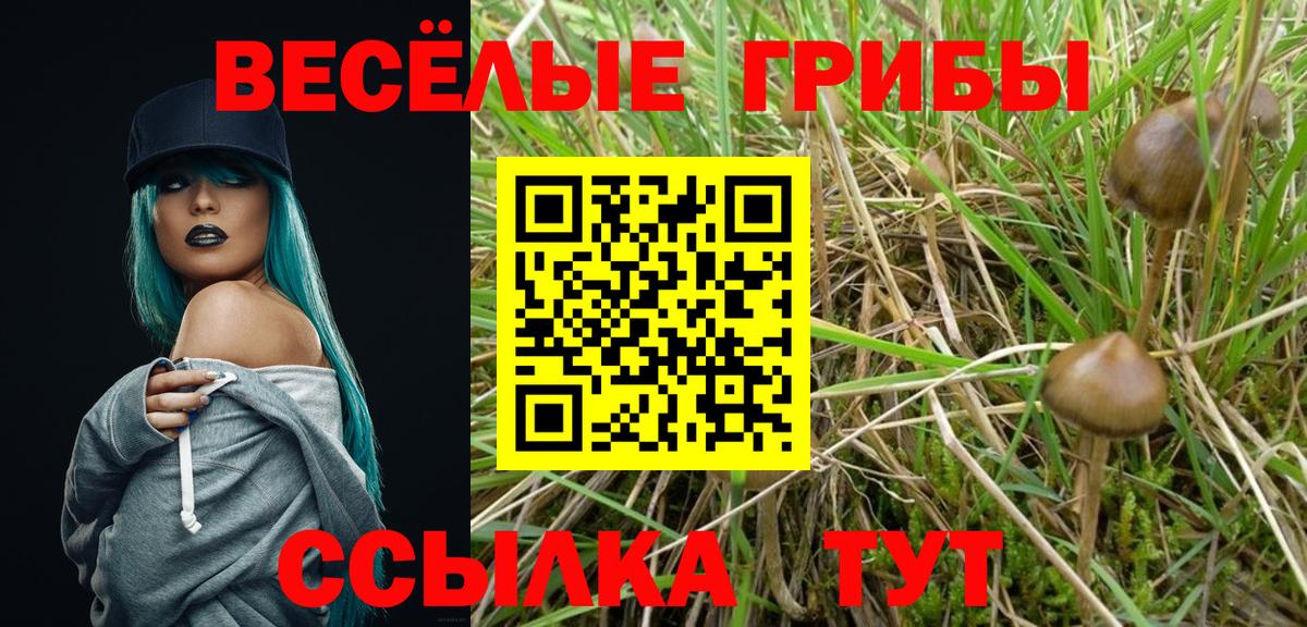Белогорск  купить закладку  Вход с VPN  Псилоцибиновые грибы прущие грибы 
